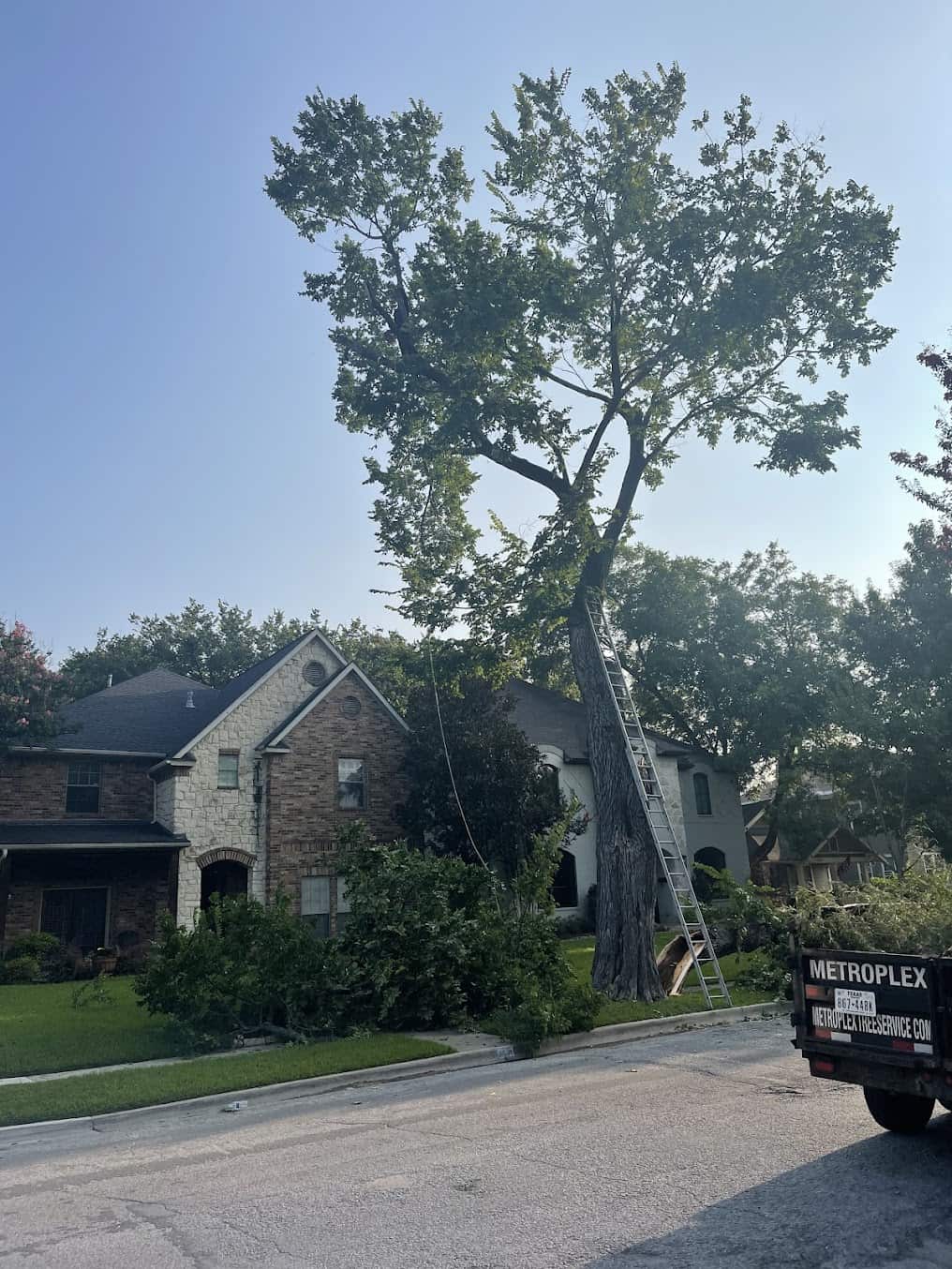 Recent tree work by Metroplex Tree Service, Dallas TX